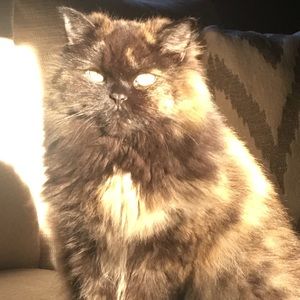 Meet your Posher, Lili